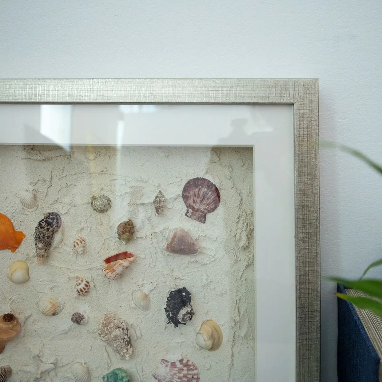 Seashell Texture Decorative Painting