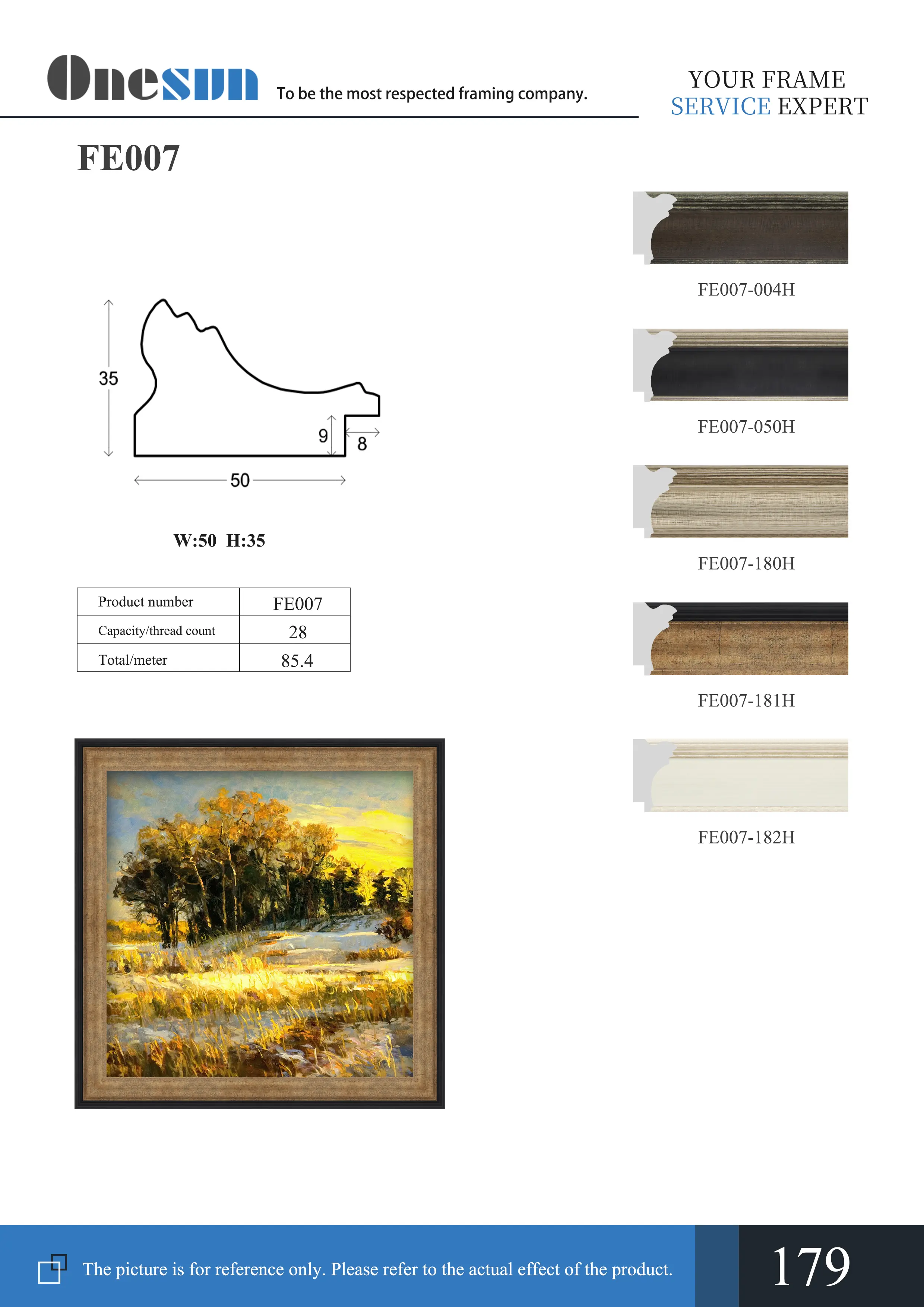 FE007-Electronic brochure