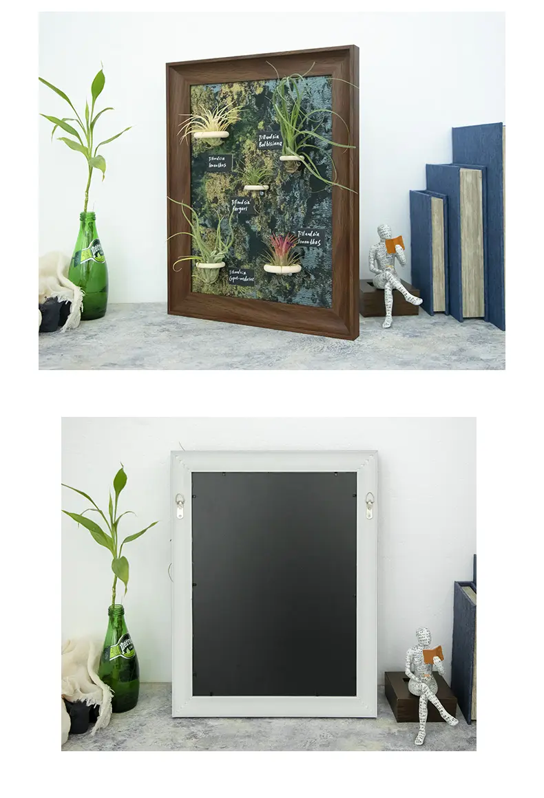 Product Actual Shots Display 3