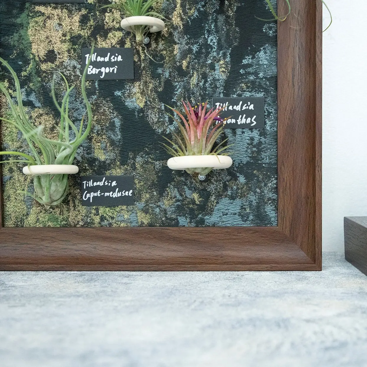 Green Plant Decorative Artwork