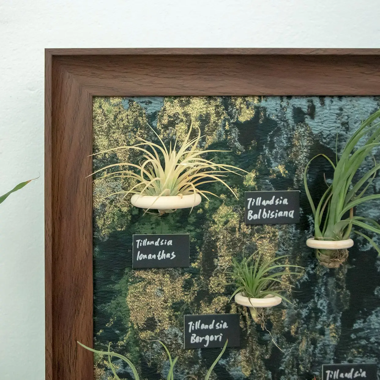 Green Plant Decorative Artwork