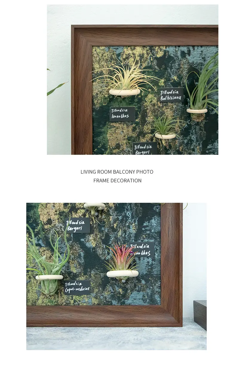 Product Actual Shots Display 2